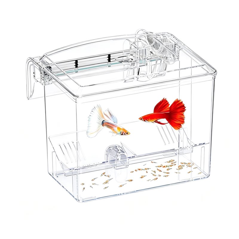 Boîte d'élevage de poissons A2 - Lab Incubator avis et prix