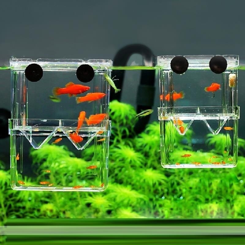 Boîte d'isolation multifonctio - Lab Incubator avis et prix