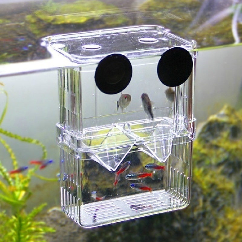 Boîte d'isolation multifonctio - Lab Incubator avis et prix